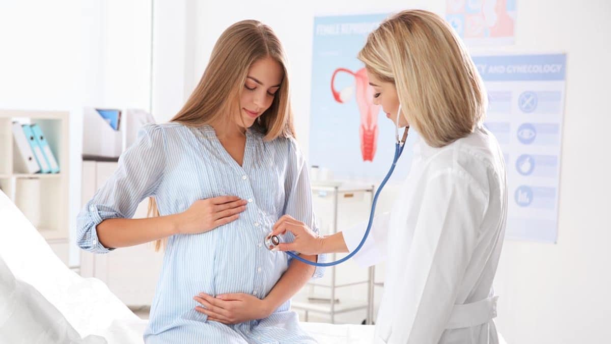 Gynaecologist Gynaecologist